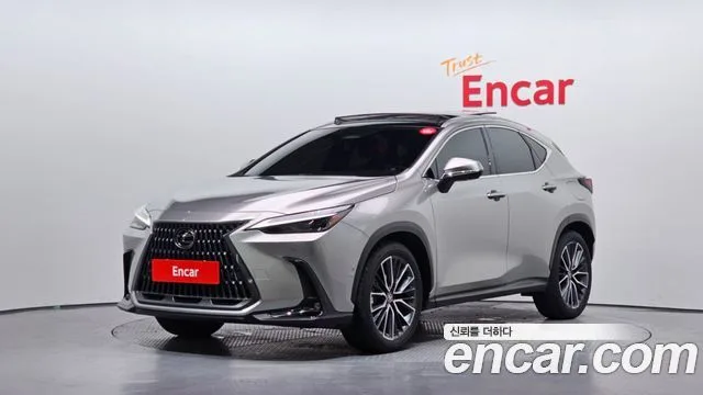 2025 Lexus NX