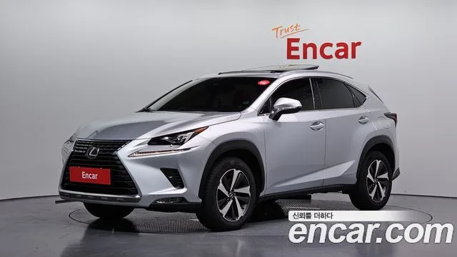 2019 Lexus NX