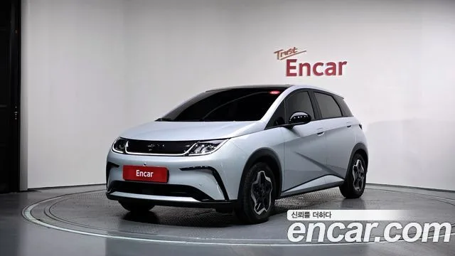 2026 BYD Dolphin