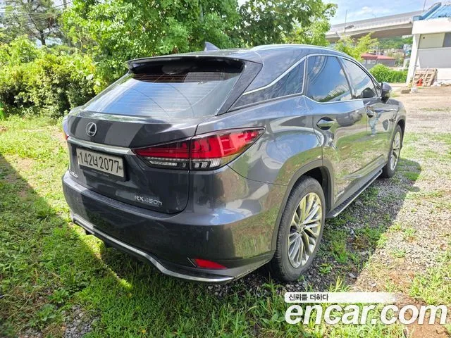 2022 Lexus RX, foto 4