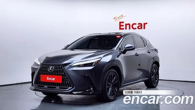2024 Lexus NX