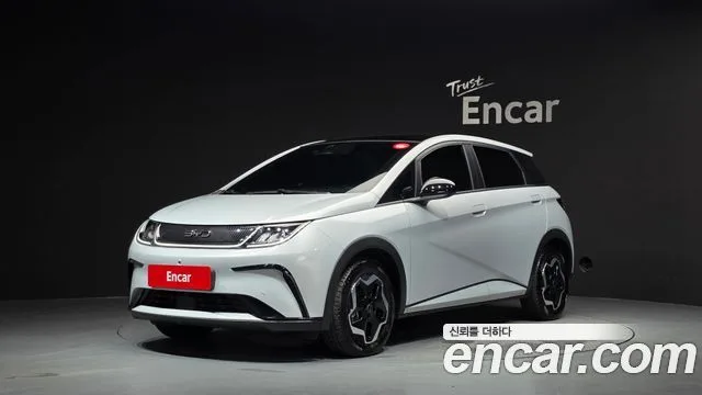 2026 BYD Dolphin
