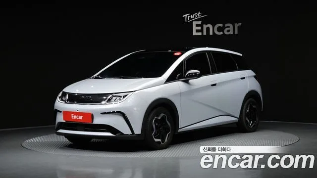 2026 BYD Dolphin