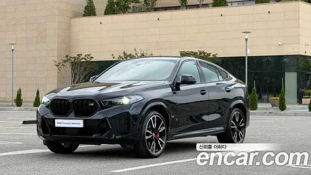 2024 BMW X6