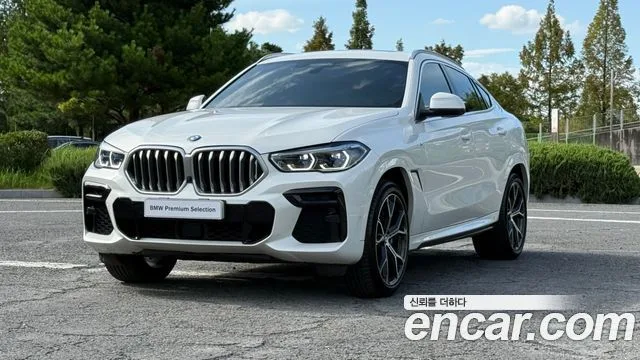2022 BMW X6