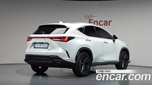 2025 Lexus NX