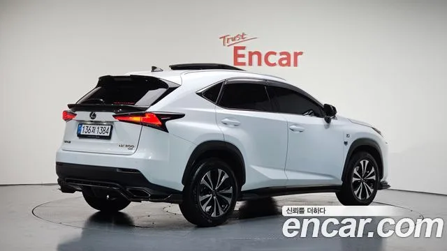 2020 Lexus NX, foto 2