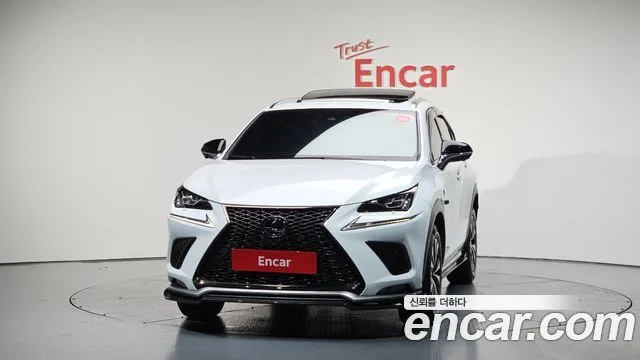 2020 Lexus NX, foto 3