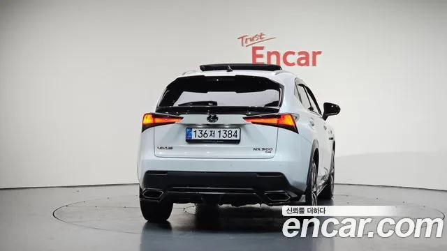 2020 Lexus NX, foto 4