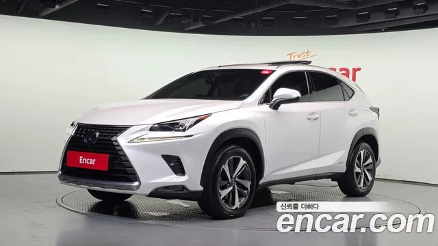 2019 Lexus NX