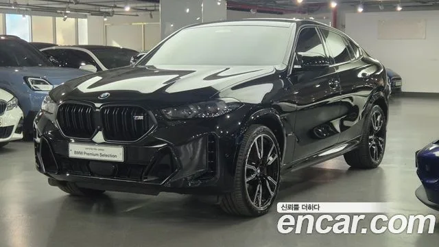 2024 BMW X6