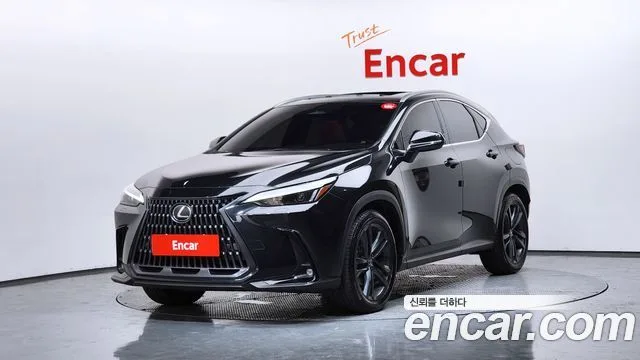 2025 Lexus NX