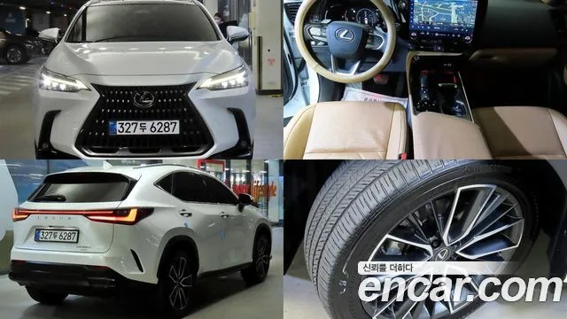 2025 Lexus NX