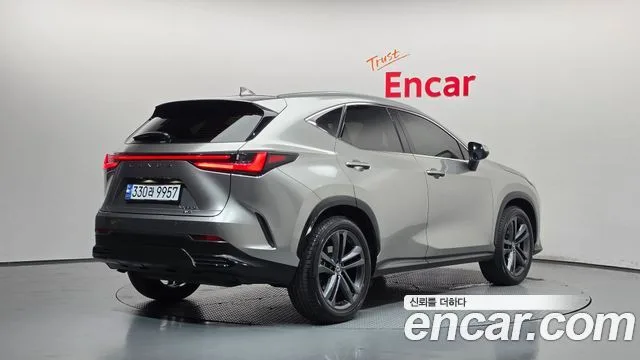 2024 Lexus NX