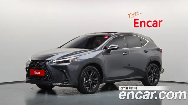 2024 Lexus NX