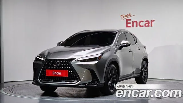 2025 Lexus NX