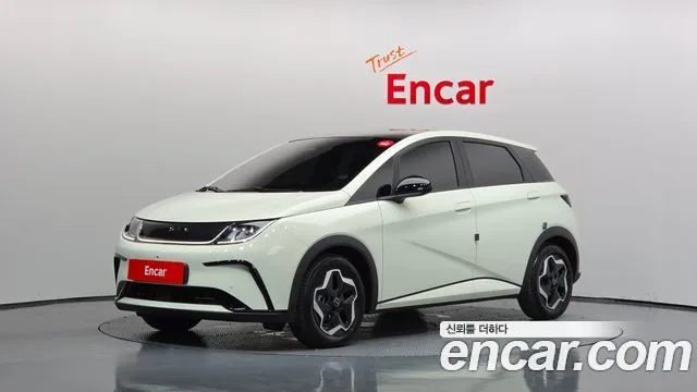 2026 BYD Dolphin