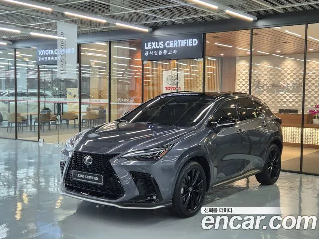 2025 Lexus NX