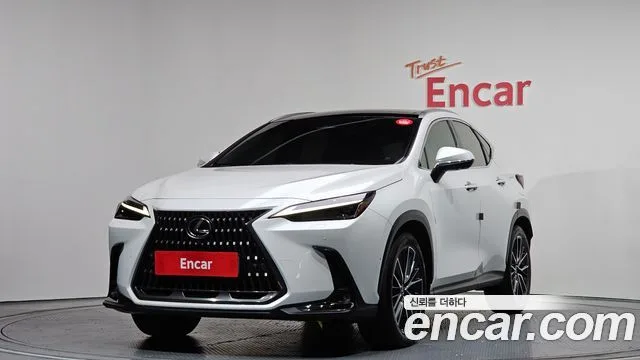 2024 Lexus NX