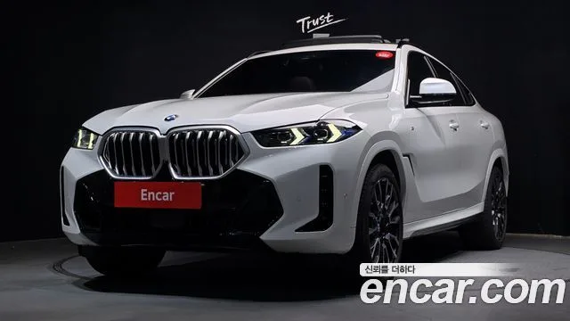 2024 BMW X6