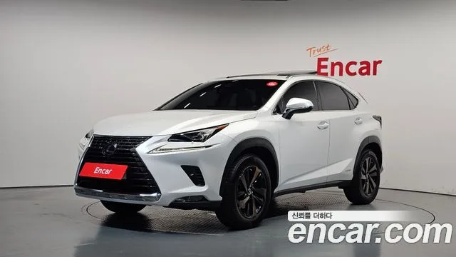 2019 Lexus NX