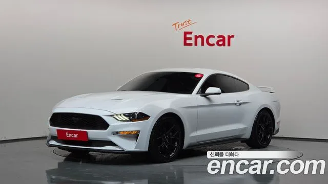 2019 Ford Mustang