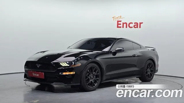2019 Ford Mustang