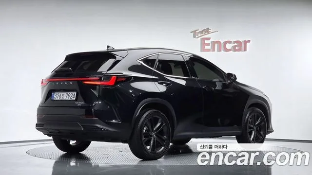 2025 Lexus NX