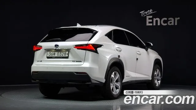 2017 Lexus NX, foto 2
