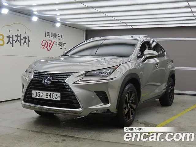 2018 Lexus NX