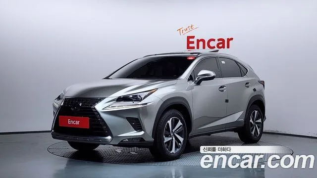 2019 Lexus NX
