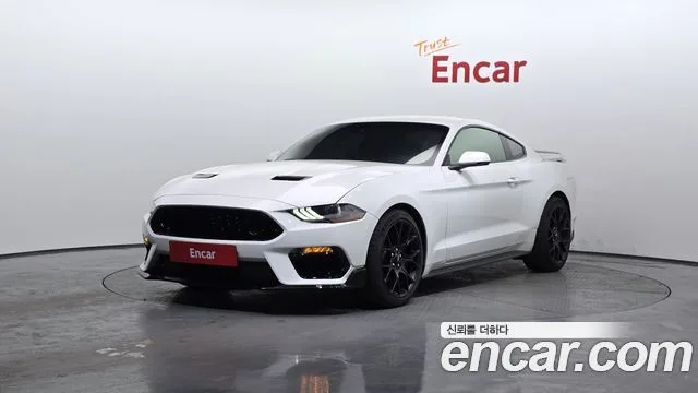 2019 Ford Mustang