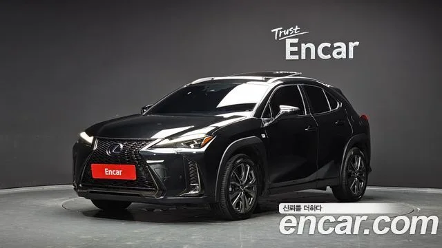 2020 Lexus UX
