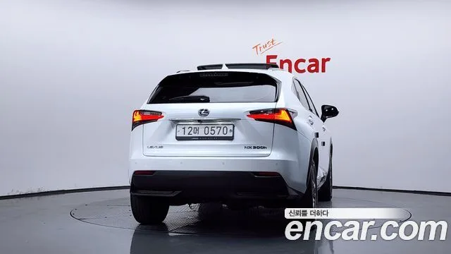 2016 Lexus NX, foto 4