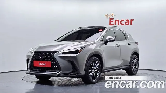 2025 Lexus NX