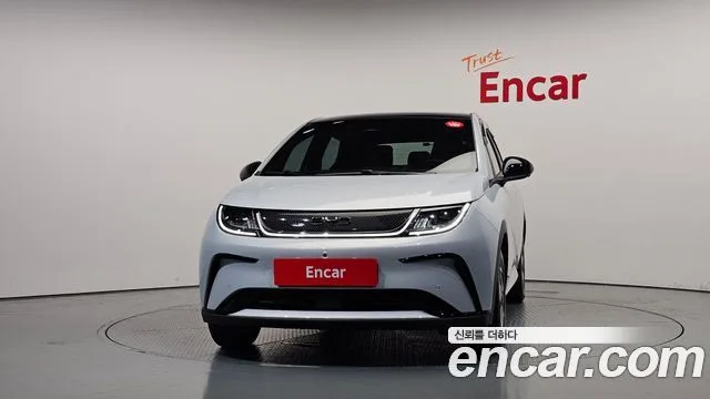 2026 BYD Dolphin, foto 3