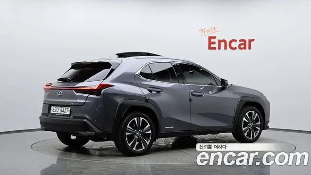 2019 Lexus UX