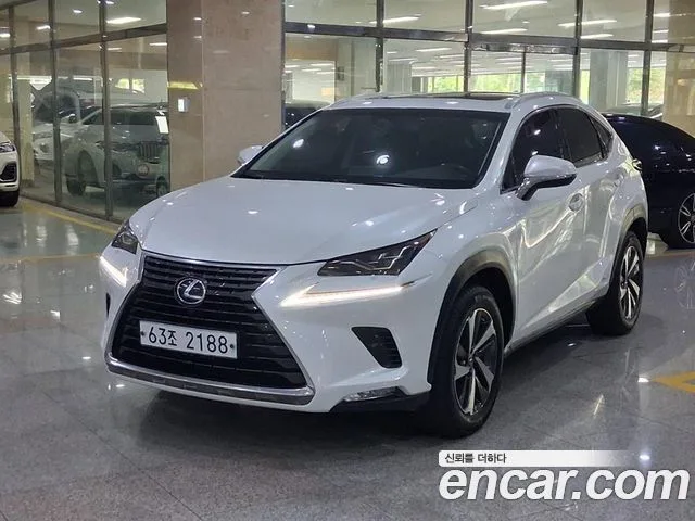 2018 Lexus NX