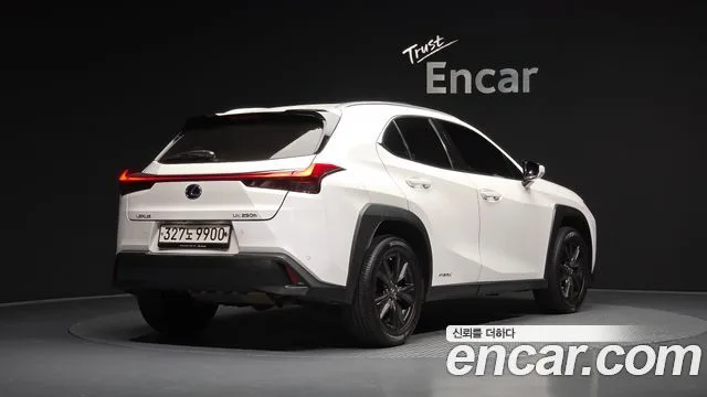 2020 Lexus UX