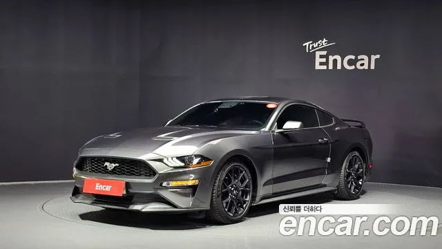 2019 Ford Mustang