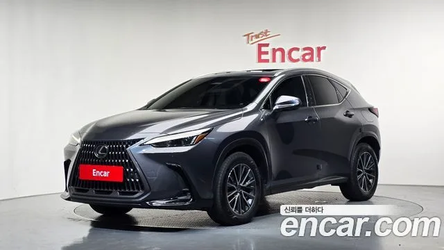 2024 Lexus NX