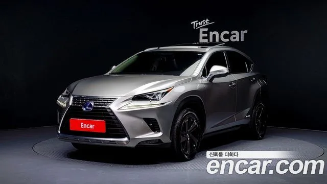 2018 Lexus NX