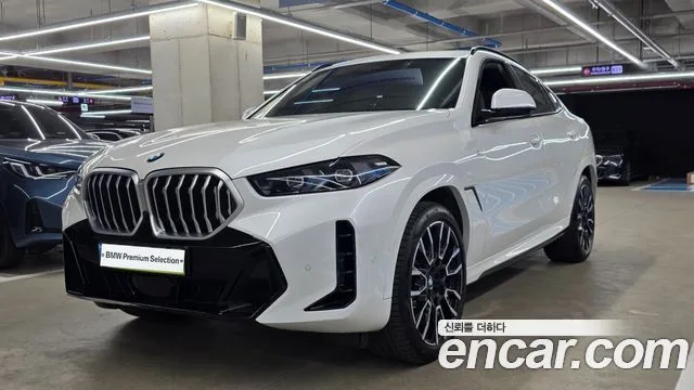 2025 BMW X6