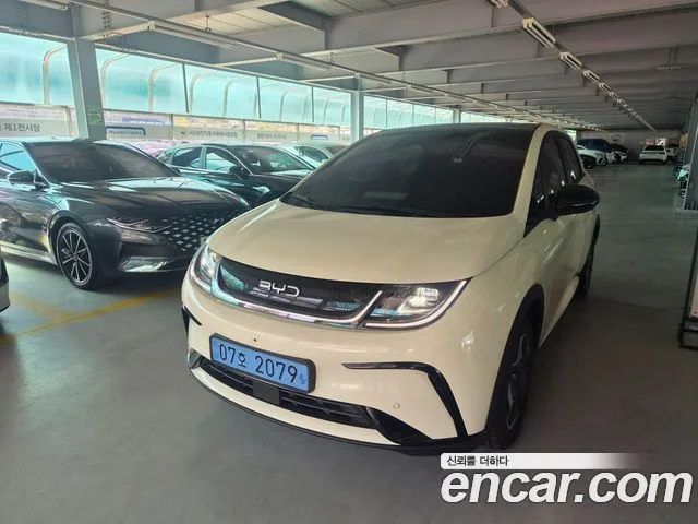 2026 BYD Dolphin