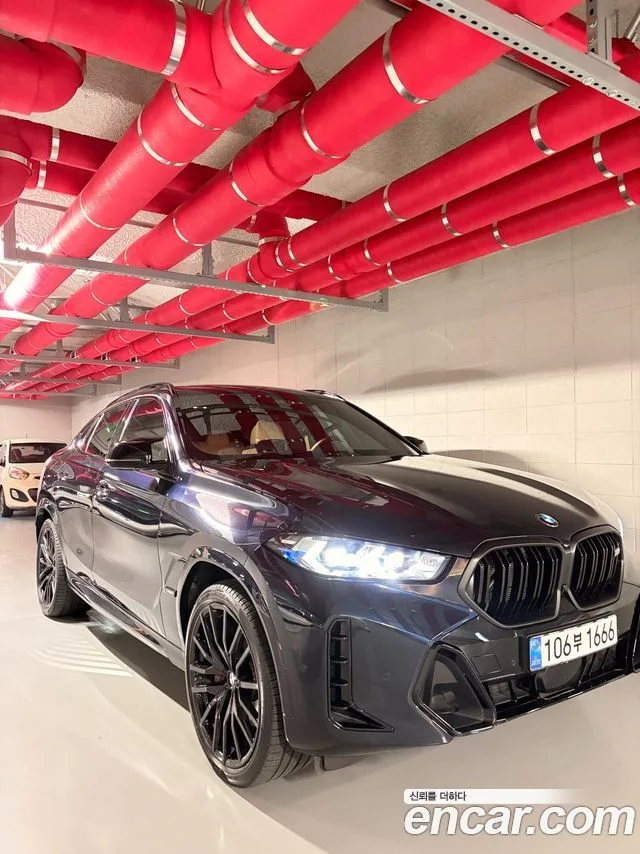 2026 BMW X6